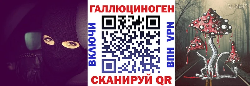 mega   Михайловка  Галлюциногенные грибы Cubensis  что такое наркотик 