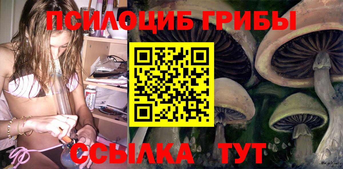 Михайловка  Псилоцибиновые грибы мицелий  магазин продажи наркотиков  Вход с VPN 